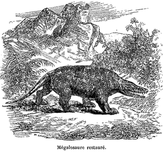 Illustration for article titled Strange 19th Century Drawings of Dinosaurs and Other Extinct Animals